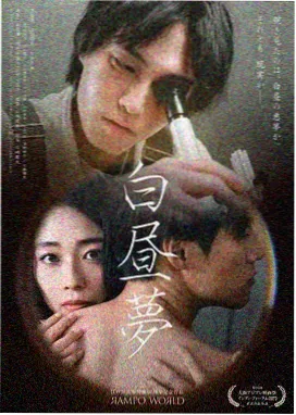 高分国产剧窄巷灯火海报